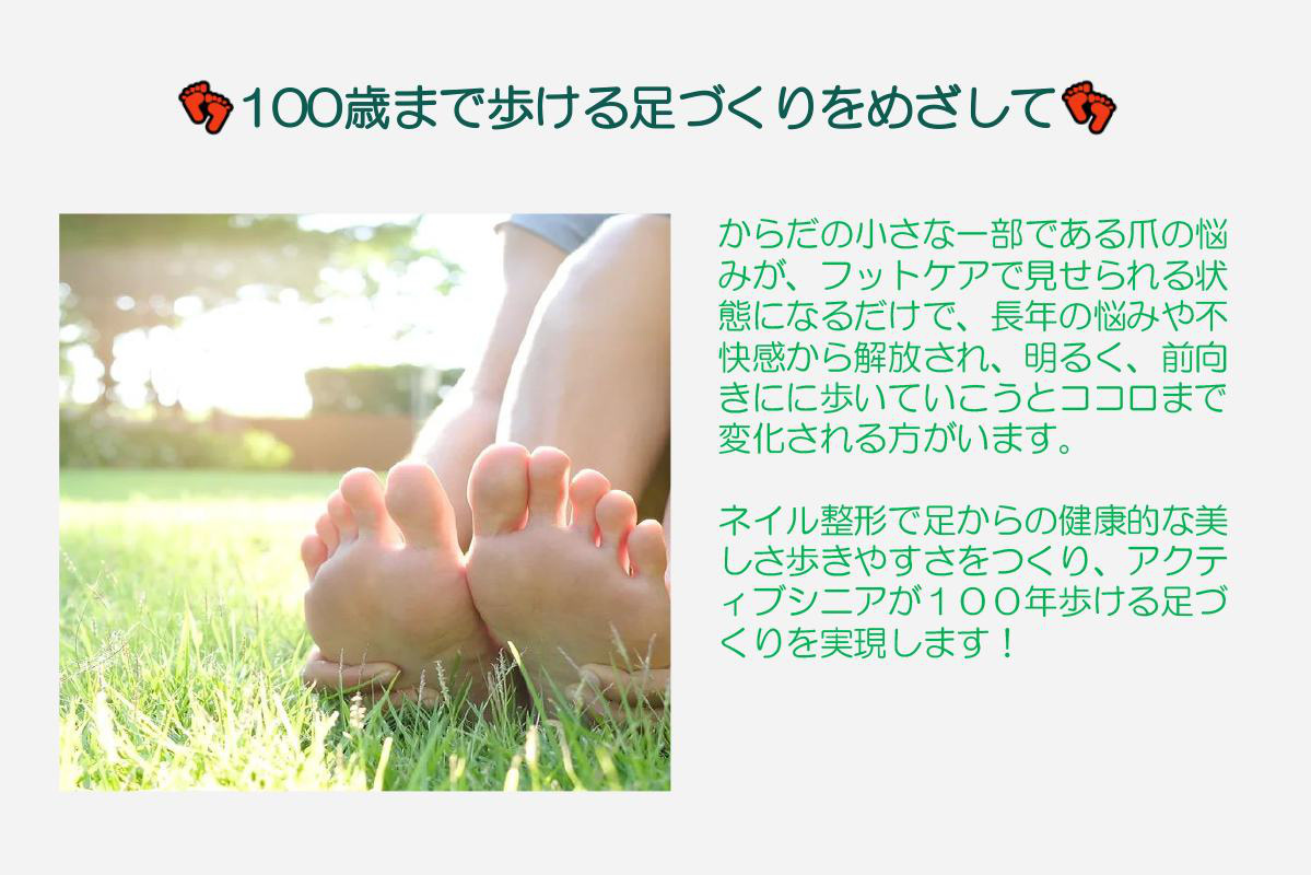 企画概要