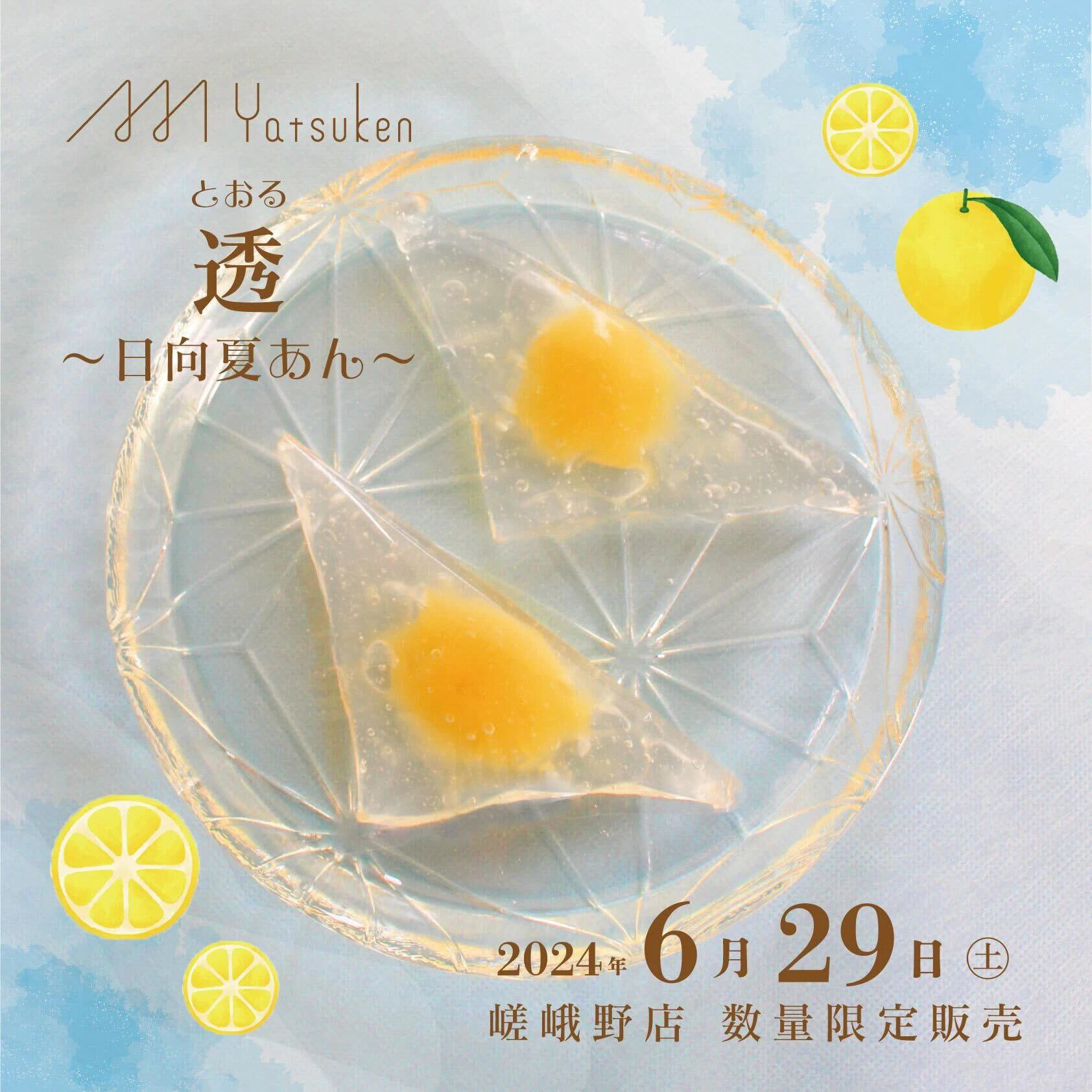 透 日向夏あん